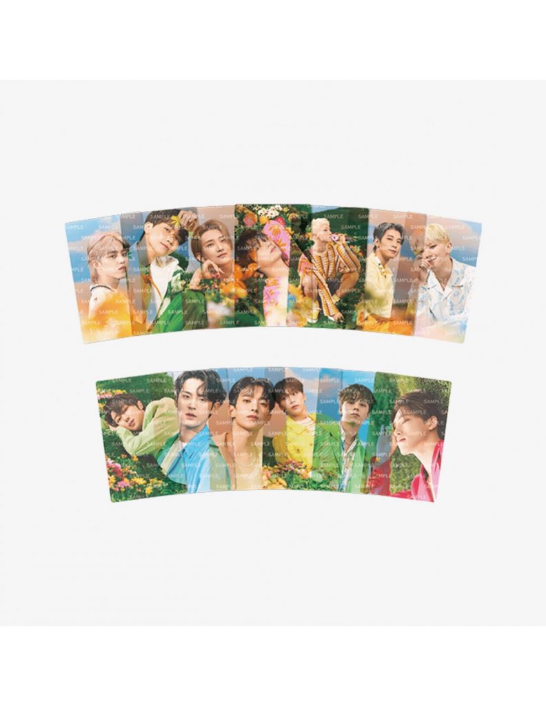 SEVENTEEN SECTOR 17 Clear Photocard Set