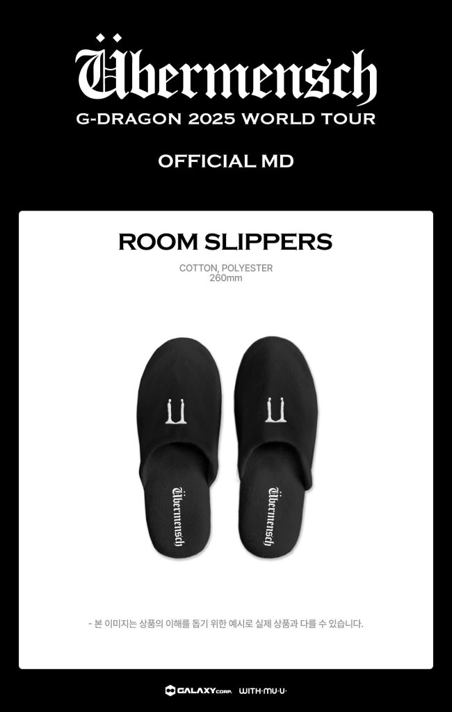 G-DRAGON 2025 WORLD TOUR IN KOREA ROOM SLIPPERS a