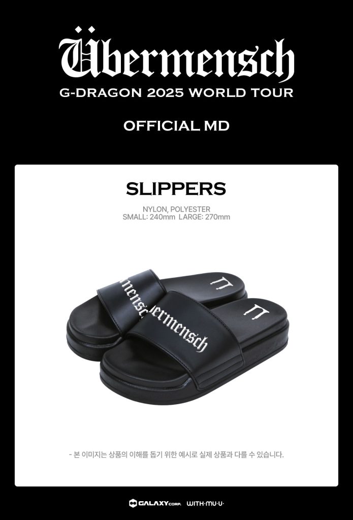 G-DRAGON 2025 WORLD TOUR IN KOREA SLIPPERS a