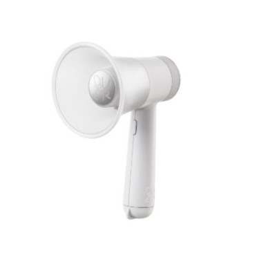 QWER Official Light Stick